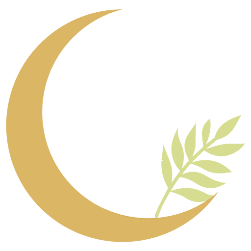 De la lune à la terre